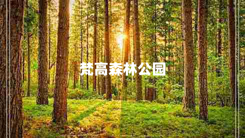 梵高森林公園