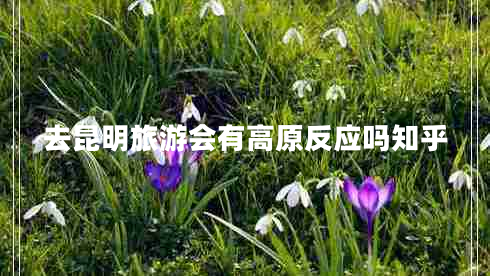 去昆明旅游會有高原反應嗎知乎