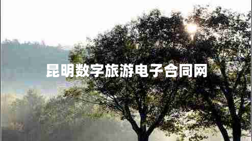 昆明數(shù)字旅游電子合同網(wǎng)