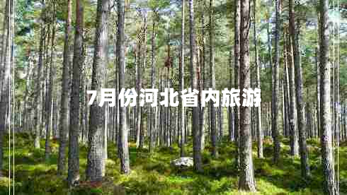 7月份河北省內(nèi)旅游