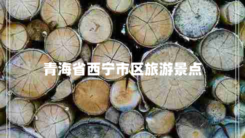 青海省西寧市區(qū)旅游景點(diǎn)