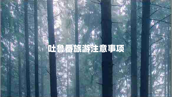 吐魯番旅游注意事項(xiàng)