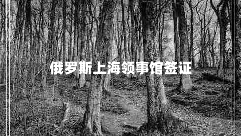 俄羅斯上海領事館簽證
