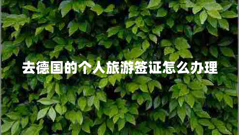 去德國(guó)的個(gè)人旅游簽證怎么辦理