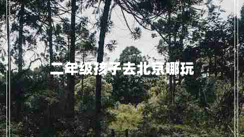 二年級(jí)孩子去北京哪玩