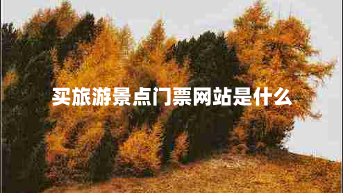 買旅游景點(diǎn)門票網(wǎng)站是什么