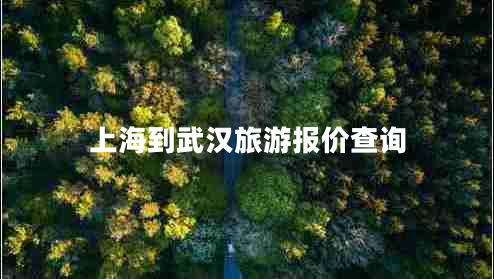 上海到武漢旅游報(bào)價查詢
