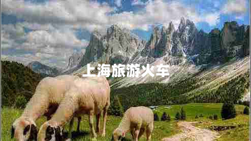 上海旅游火車