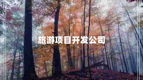旅游項(xiàng)目開(kāi)發(fā)公司
