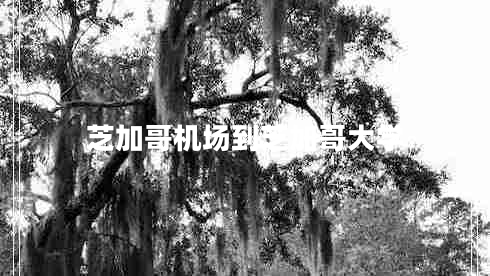 芝加哥機(jī)場到芝加哥大學(xué)