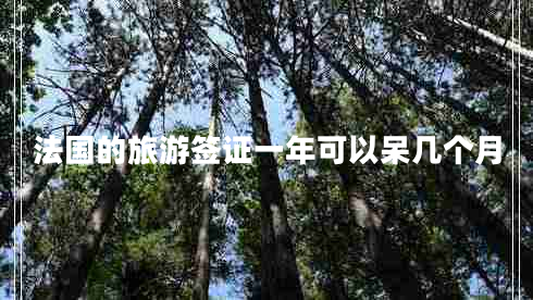 法國(guó)的旅游簽證一年可以呆幾個(gè)月