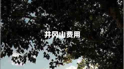 井岡山費(fèi)用