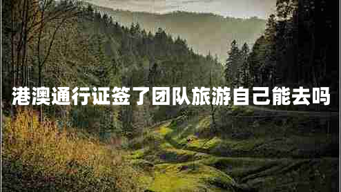 港澳通行證簽了團(tuán)隊(duì)旅游自己能去嗎