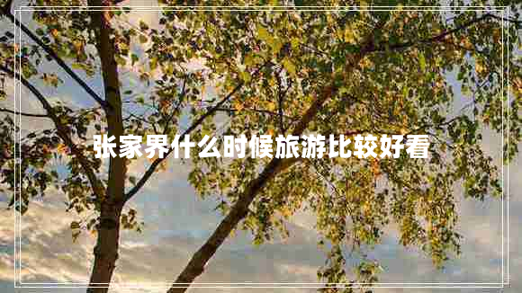 張家界什么時候旅游比較好看