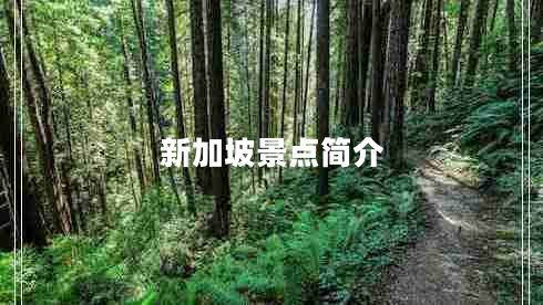 新加坡景點簡介