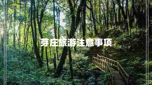 芽莊旅游注意事項(xiàng)