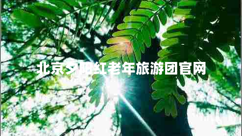 北京夕陽紅老年旅游團(tuán)官網(wǎng)