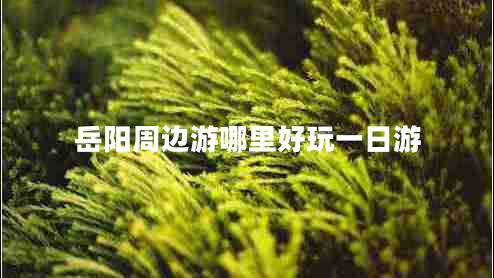 岳陽周邊游哪里好玩一日游