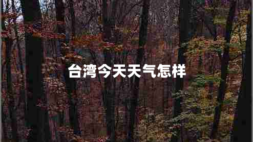 臺(tái)灣今天天氣怎樣