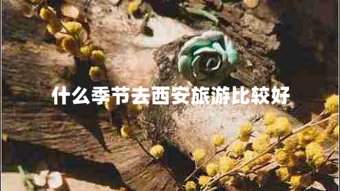 什么季節(jié)去西安旅游比較好