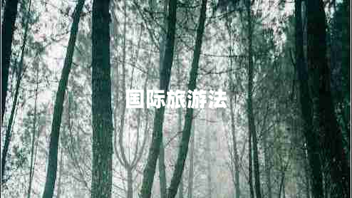 國(guó)際旅游法