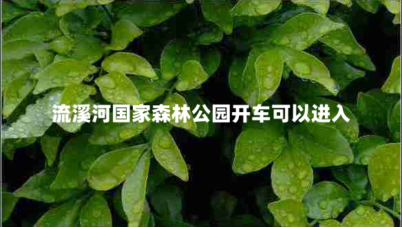 流溪河國家森林公園開車可以進入