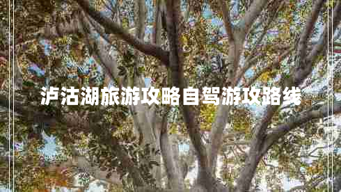 瀘沽湖旅游攻略自駕游攻路線
