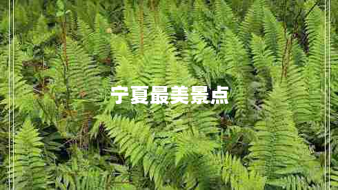 寧夏最美景點