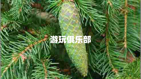 游玩俱樂部
