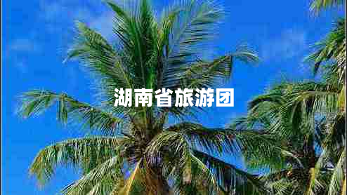 湖南省旅游團(tuán)