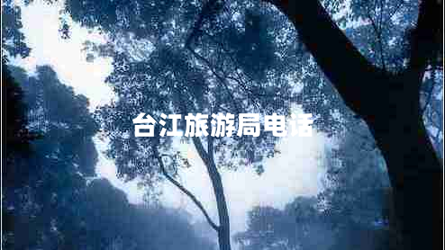 臺(tái)江旅游局電話