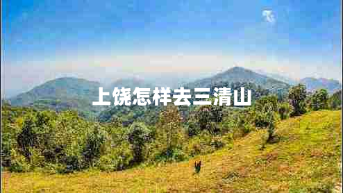 上饒?jiān)鯓尤ト迳? title=