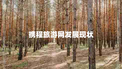 攜程旅游網(wǎng)發(fā)展現(xiàn)狀