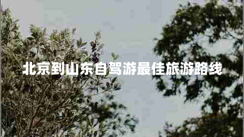 北京到山東自駕游最佳旅游路線