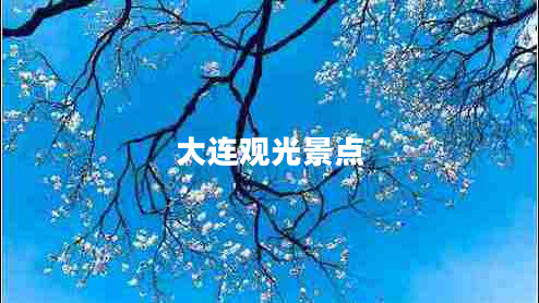 大連觀光景點(diǎn)
