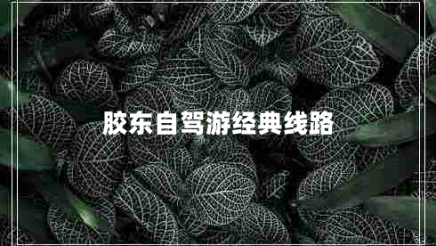 膠東自駕游經(jīng)典線路