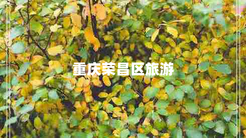 重慶榮昌區(qū)旅游