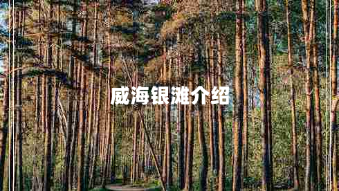 威海銀灘介紹