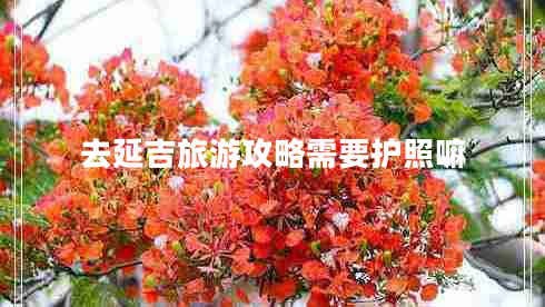 去延吉旅游攻略需要護(hù)照嘛