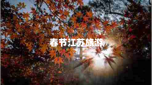 春節(jié)江蘇旅游