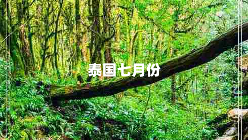 泰國(guó)七月份