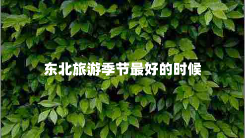 東北旅游季節(jié)最好的時候