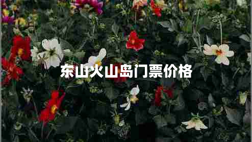 東山火山島門票價(jià)格