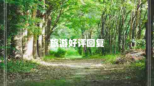 旅游好評(píng)回復(fù)