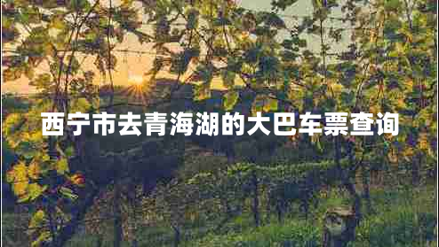 西寧市去青海湖的大巴車票查詢
