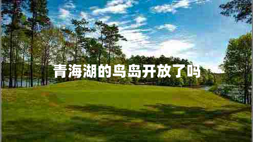 青海湖的鳥島開放了嗎