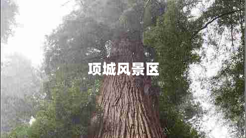 項(xiàng)城風(fēng)景區(qū)