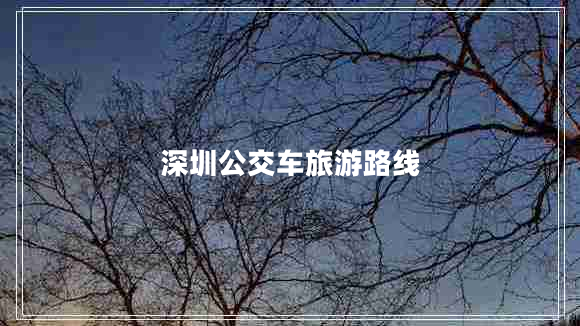 深圳公交車旅游路線