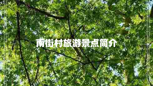 南街村旅游景點簡介