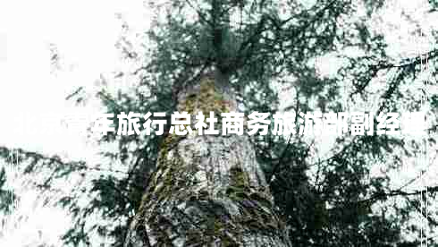 北京青年旅行總社商務旅游部副經理